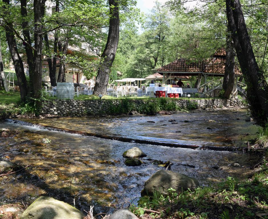 Hotel Paradise Place 卡洛费尔 外观 照片